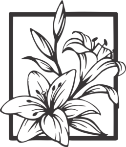 CUA000049 — 45X38.5