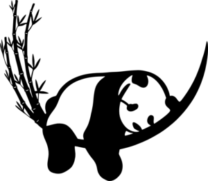 CUA000077 — 30X26