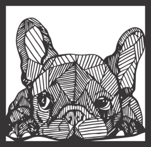 CUA000086 — 30X29