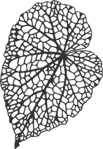 CUA000224 — 30X20.5