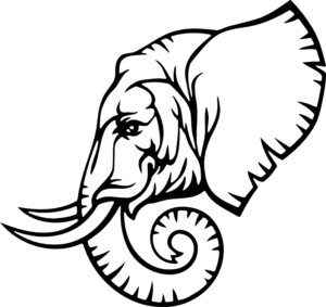 CUA000272 — 45X42.5