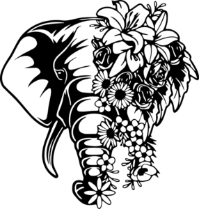 CUA000273 — 45X43
