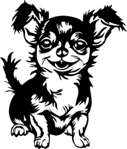 CUA000297 — 45X38.5