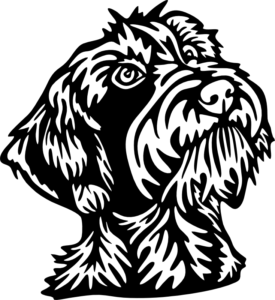 CUA000302 — 45X41