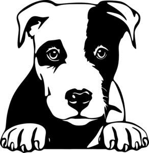 CUA000305 — 45X44
