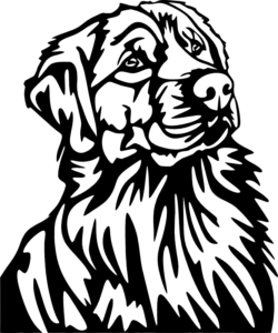 CUA000306 — 45X37.5