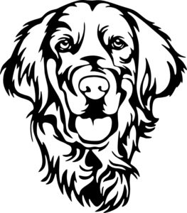 CUA000307 — 45X39.5