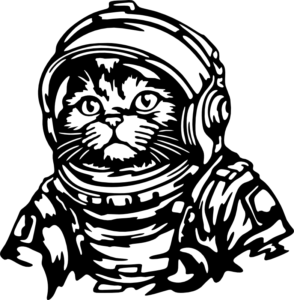 CUA000308 — 45X44