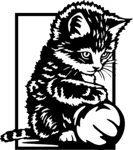 CUA000311 — 45X40