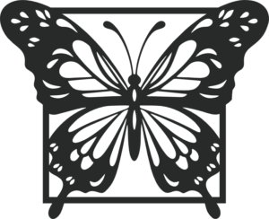 CUA000353 — 45X36.5
