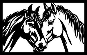 CUA000355 — 45X28.5