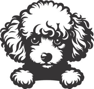 CUA000359 — 45X43